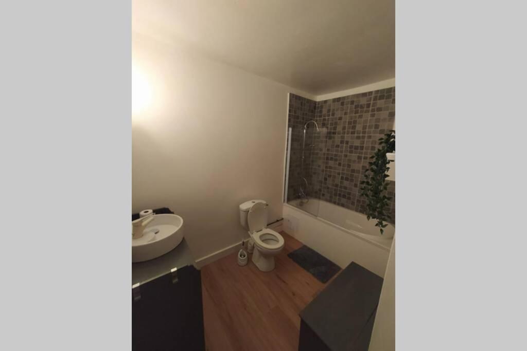 Appartement T2 Cosy Et Chaleureux - 40Mn De Rennes Plumaugat Exteriör bild